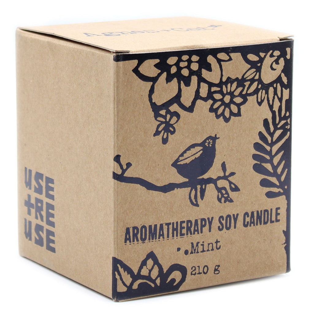 Agnes + Cat Mint Herb Garden Candle in Rustic Terracotta Pot