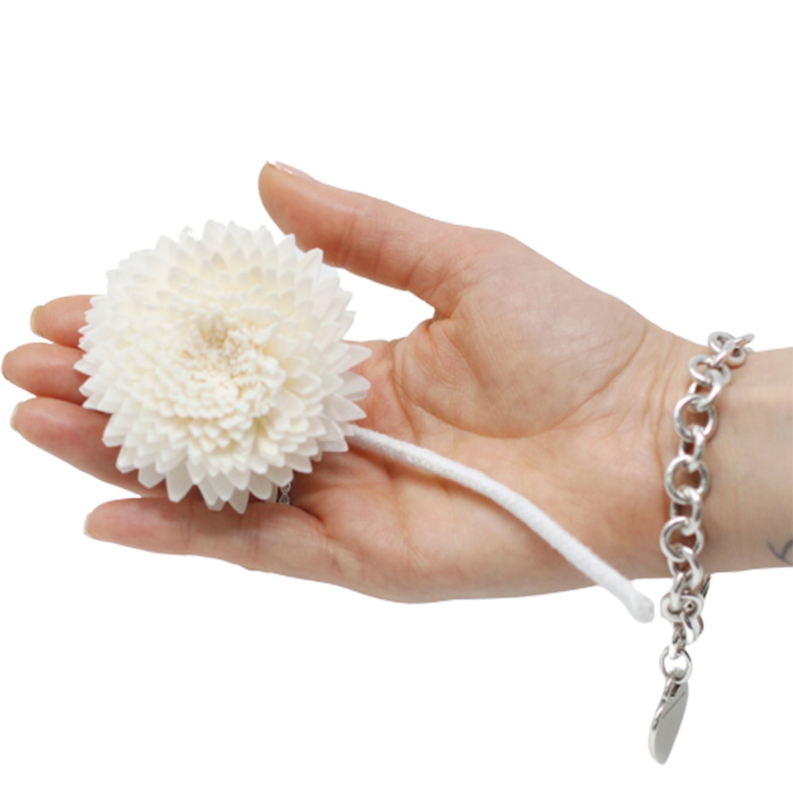 Natural Diffuser Flowers Large Carnation on String for Home Fragrance