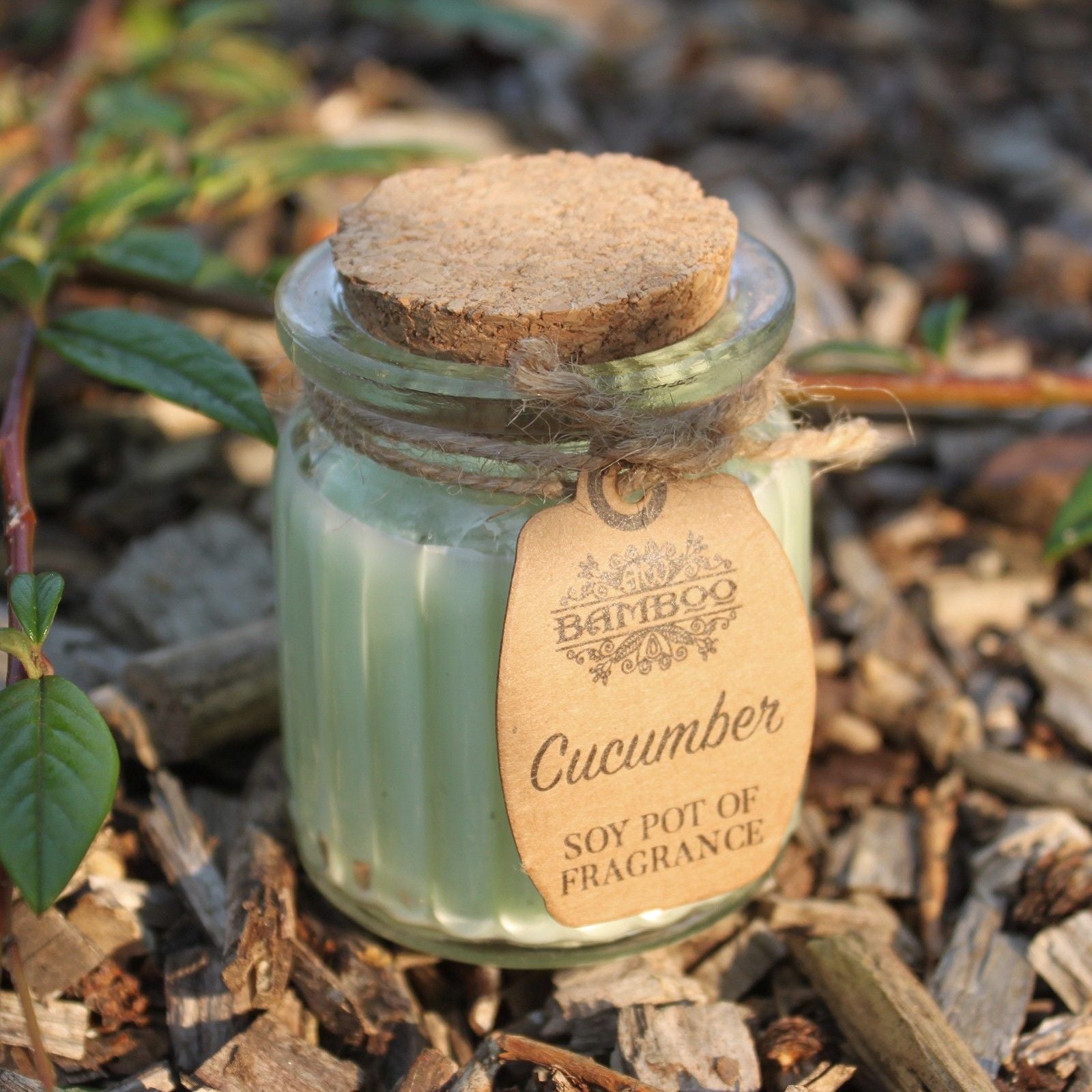 Cucumber Soy Pot of Fragrance Candles with Reusable Glass Jar