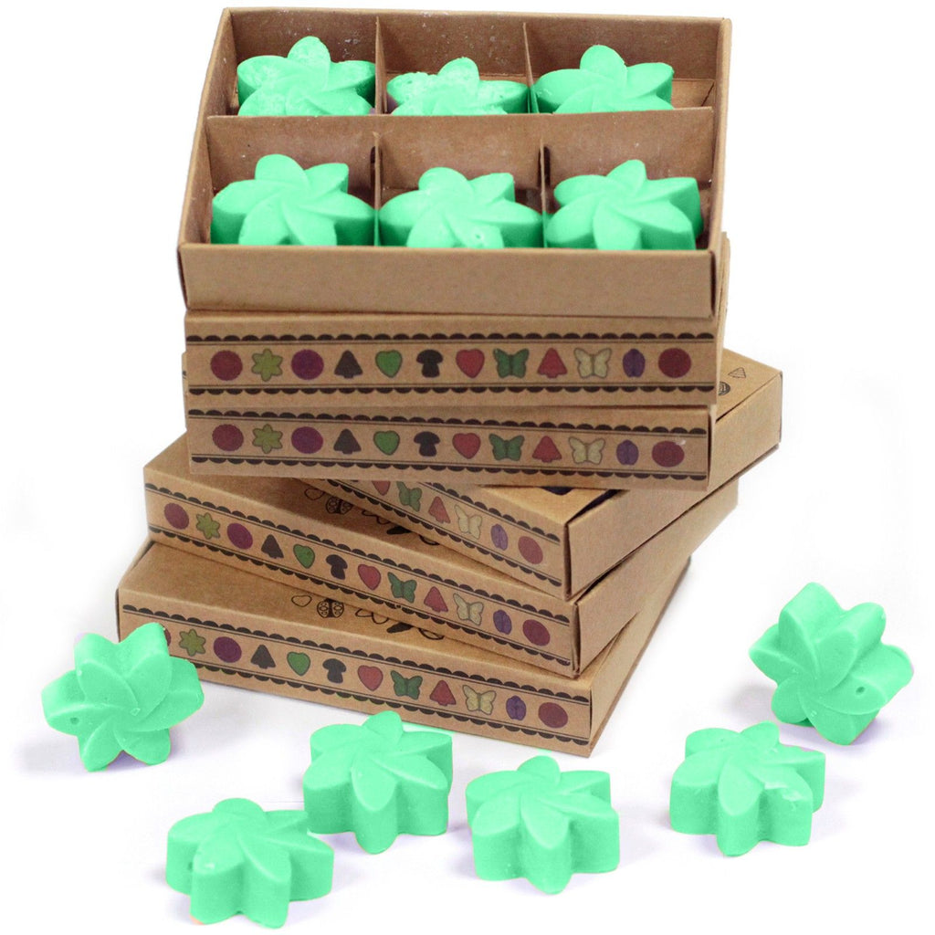 Box of 6 Hidden Garden Wax Melts for Enchanting Home Fragrance