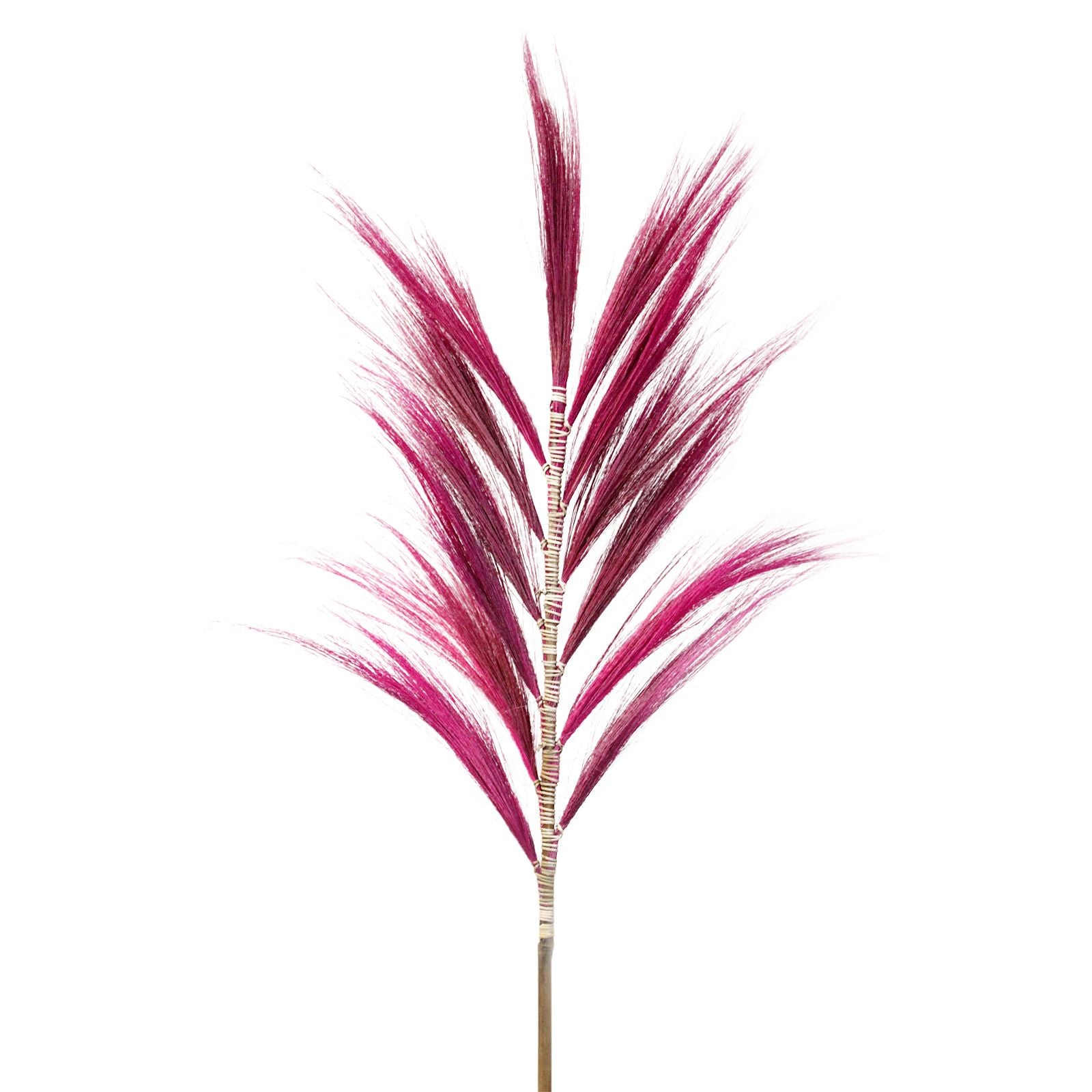 Stunning 1.6m Rayung Grass Pink Display for Tropical Decor