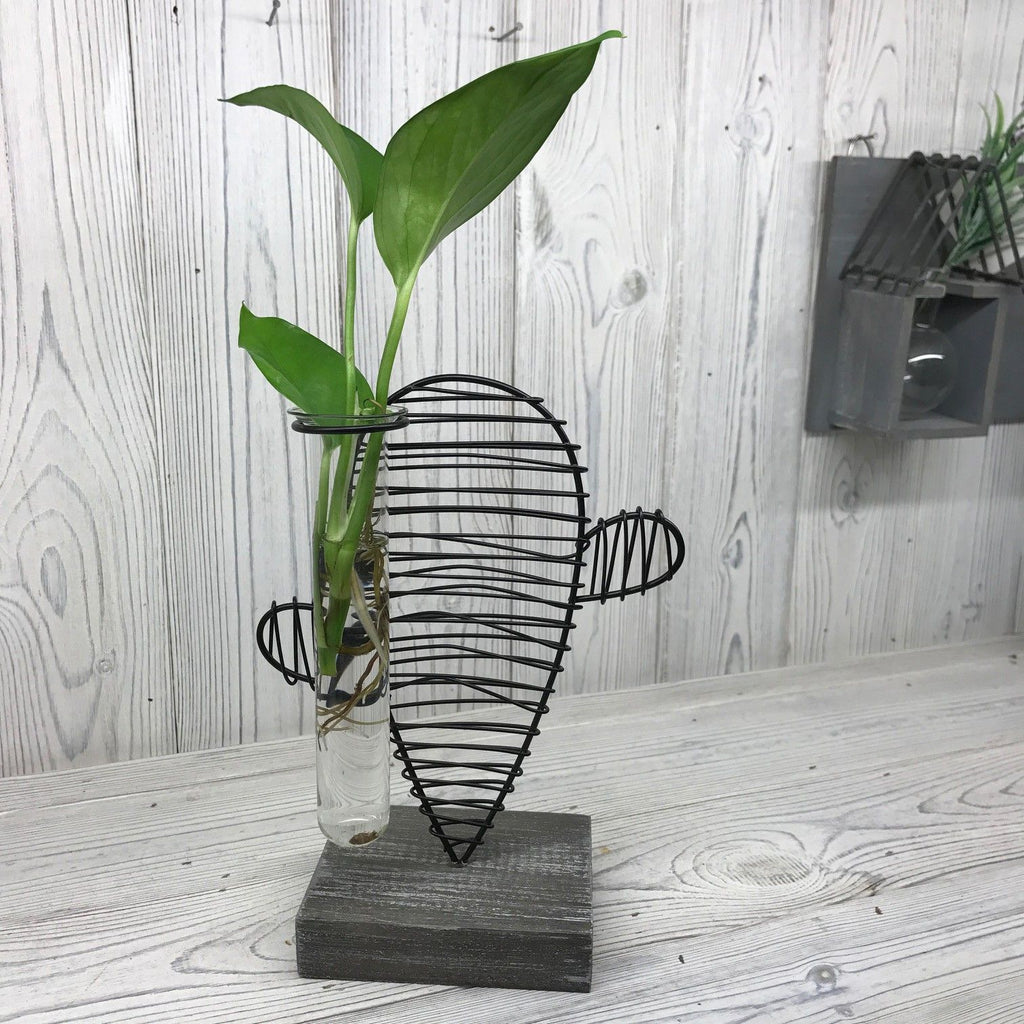 Hydroponic Home Décor with Cactus & Lab Pot Design for Display