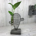 Hydroponic Home Décor with Cactus & Lab Pot Design for Display