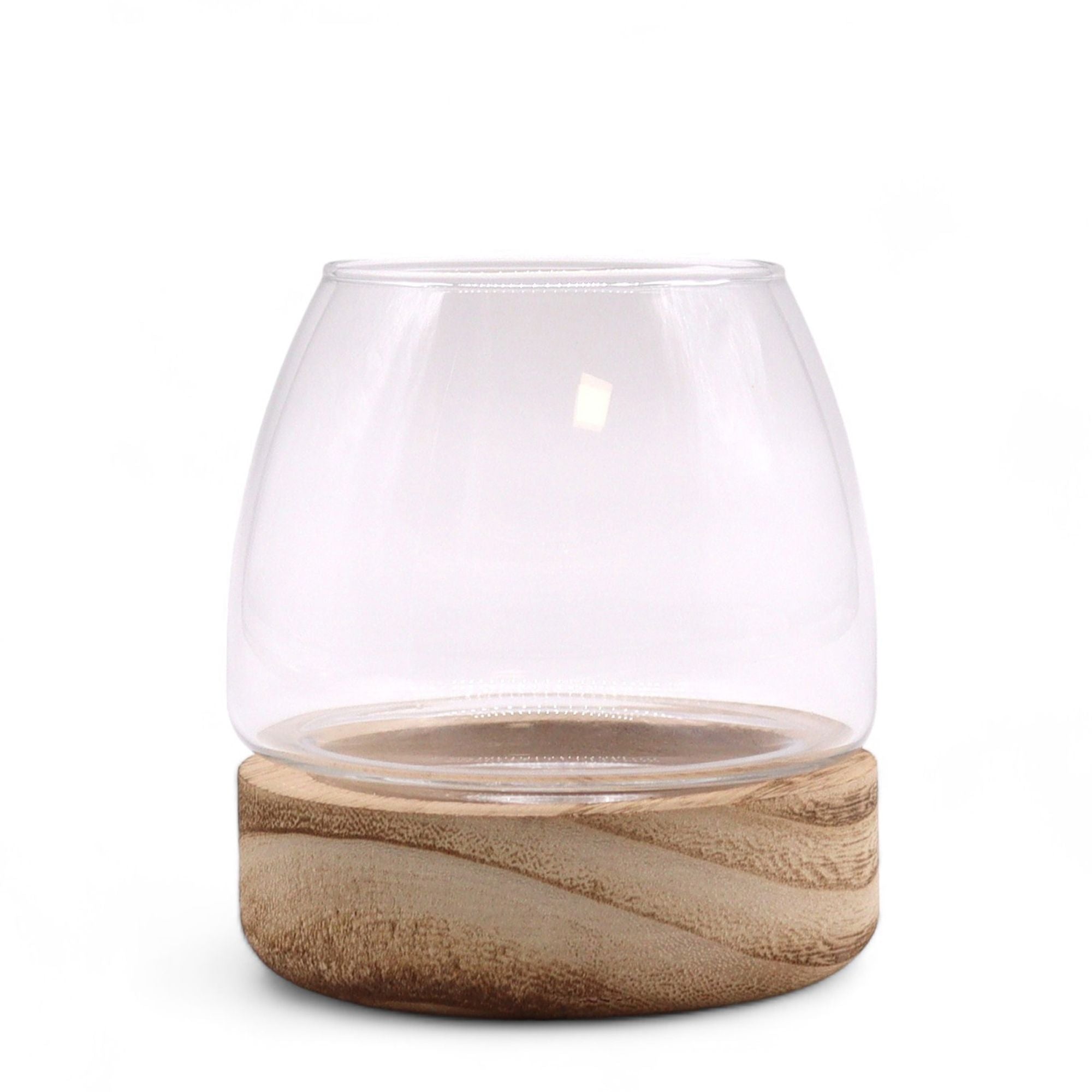 Mini Terrarium on Natural Tung Wood for Creative Displays