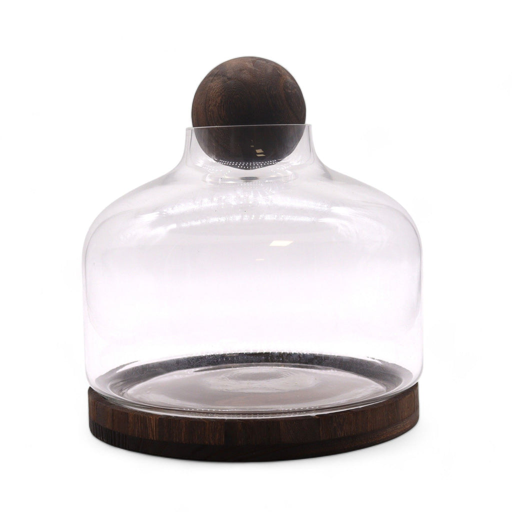 Ex Large Ball Top Terrarium on Dark Tung Wood Base for Display
