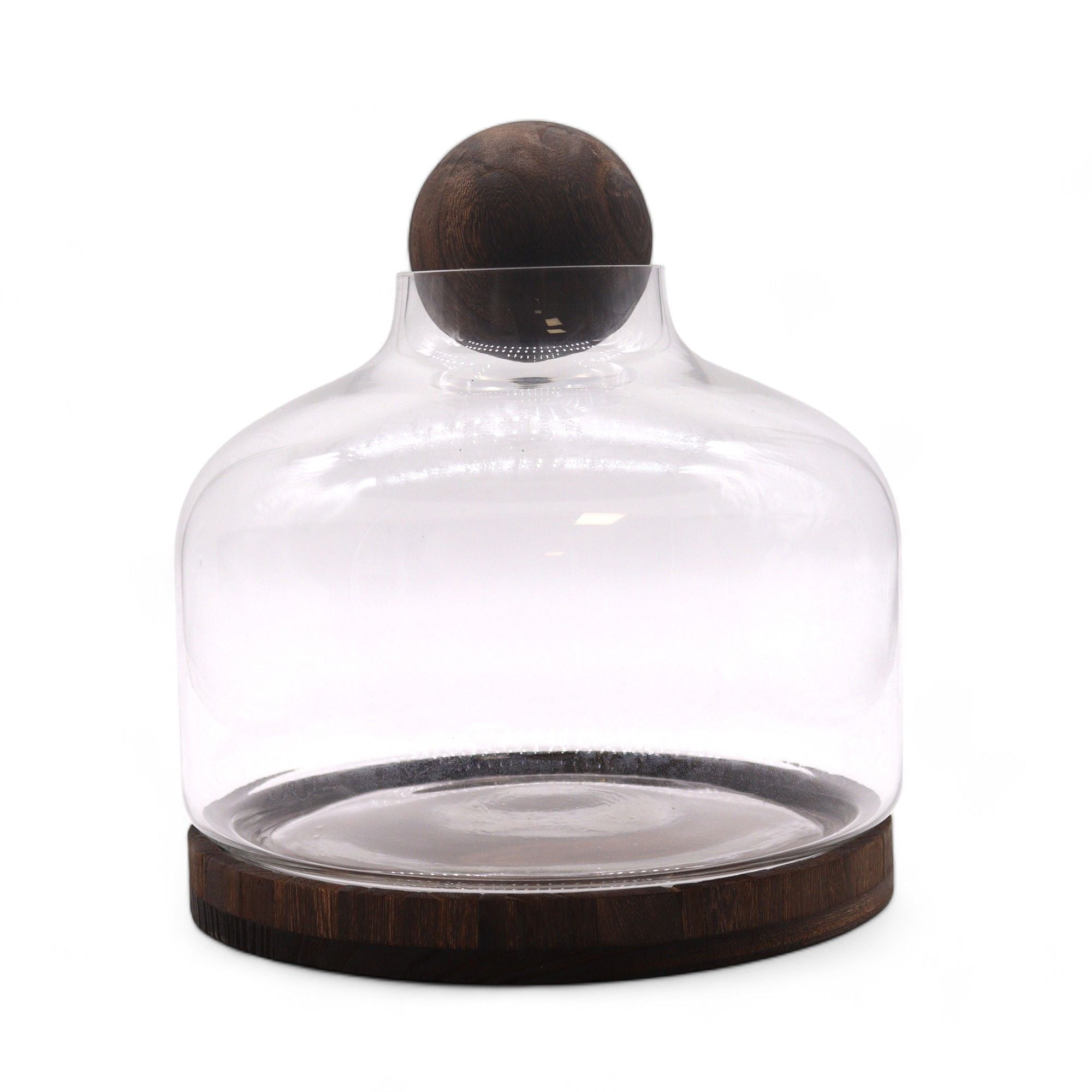 Ex Large Ball Top Terrarium on Dark Tung Wood Base for Display