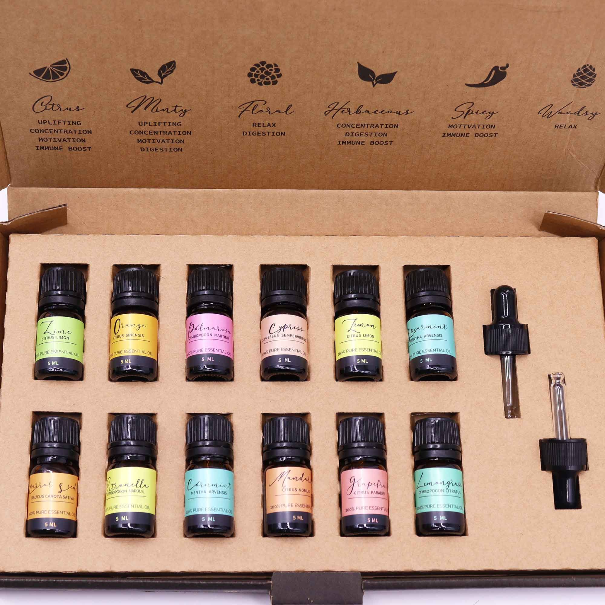 Aromatherapy Essential Oil Set with Summer Scents for Blissful Homes
