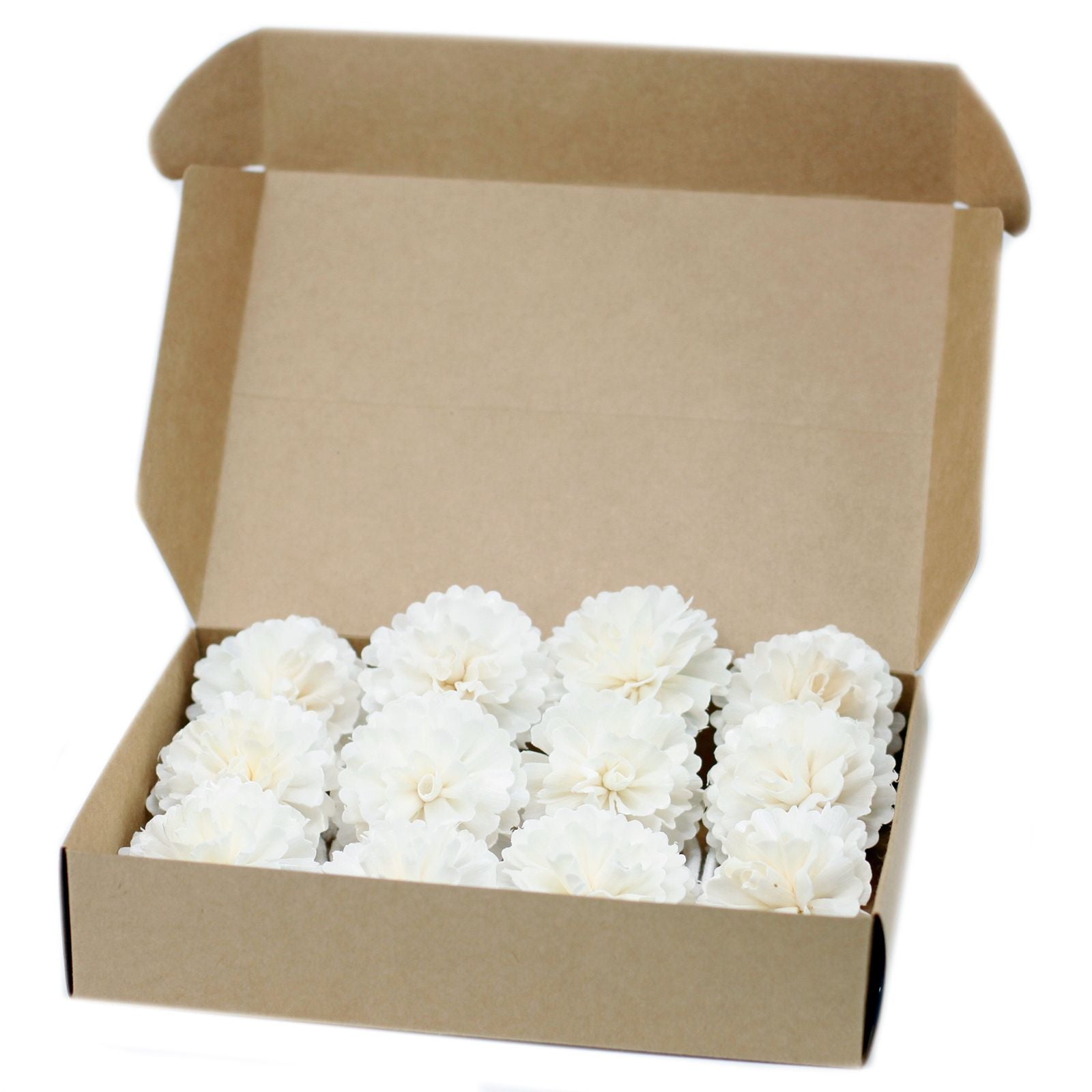 Natural Diffuser Flowers Medium Carnation on String for Aroma