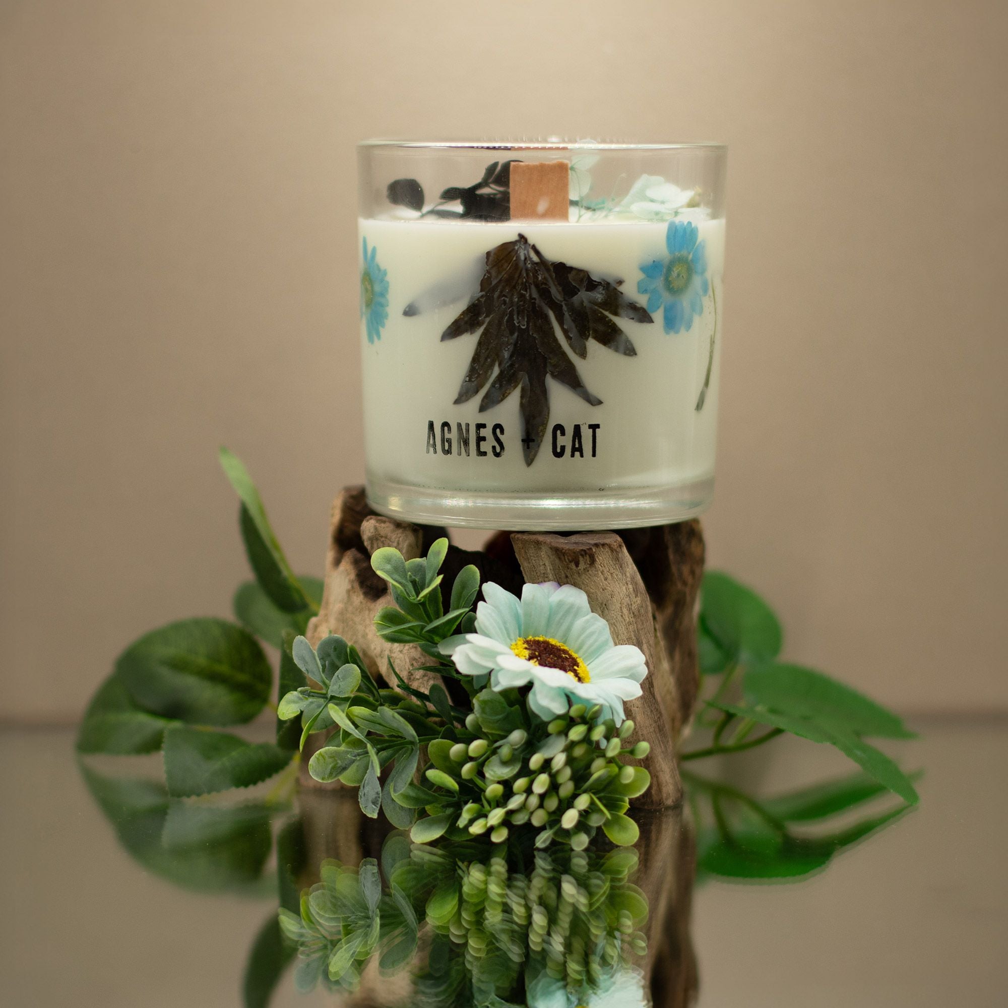 Agnes + Cat Botanical Soy Wax Candle - Sea Salt & Moss