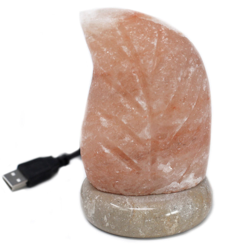 USB Leaf Shaped Himalayan Salt Lamp for Unique Home Decor Lighting
