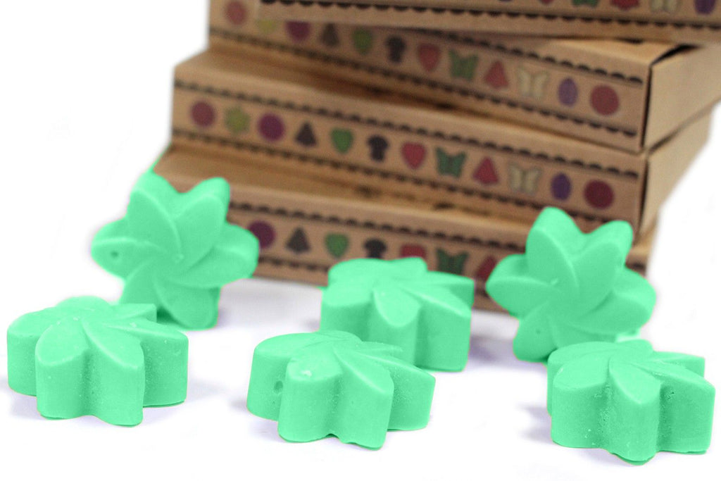 Box of 6 Hidden Garden Wax Melts for Enchanting Home Fragrance