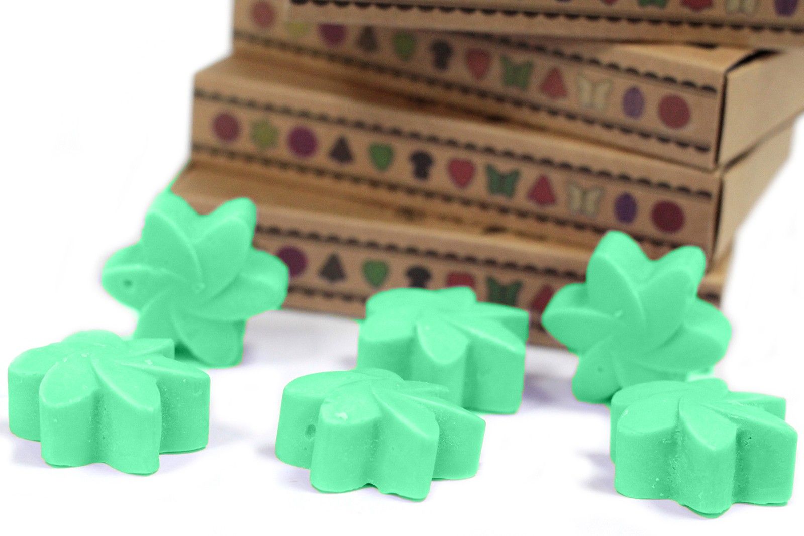 Box of 6 Hidden Garden Wax Melts for Enchanting Home Fragrance