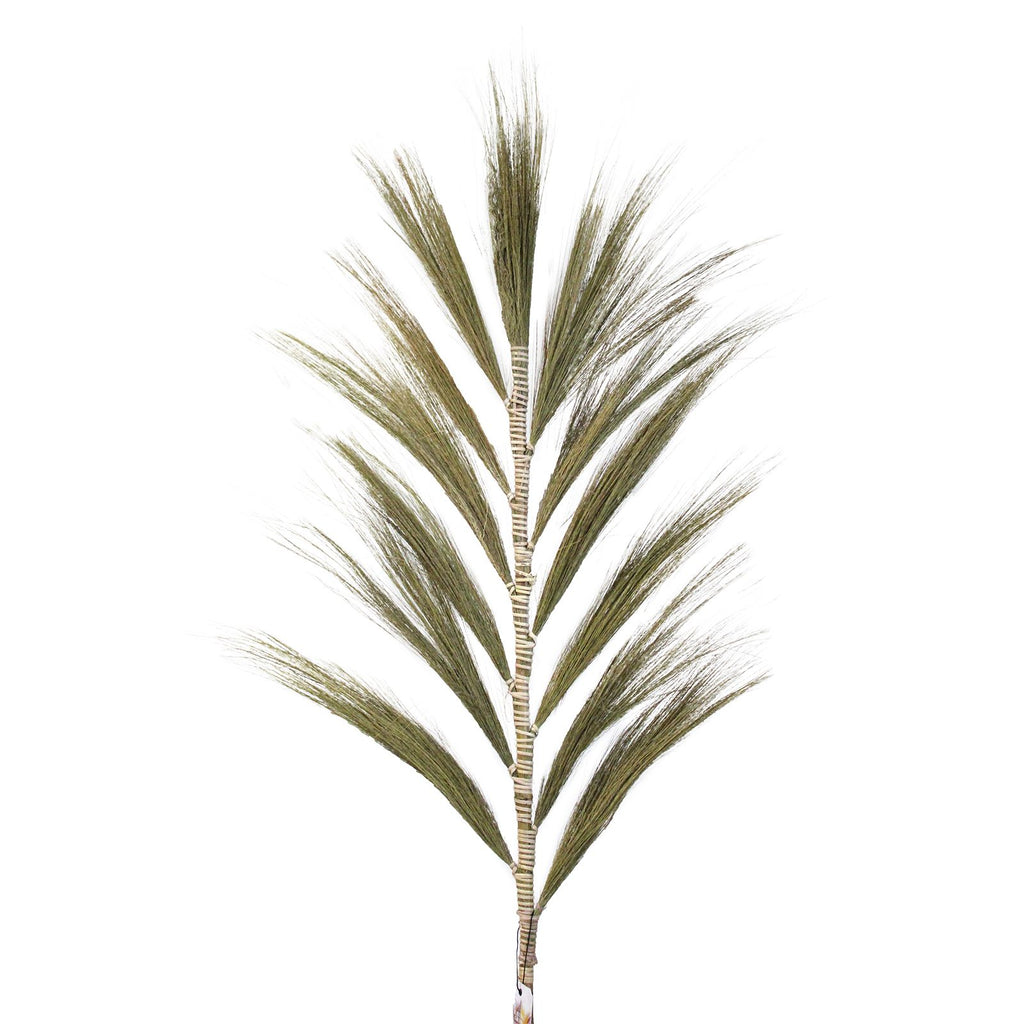 Rayung Grass Natural 1.6m for Stunning Tropical Home Displays