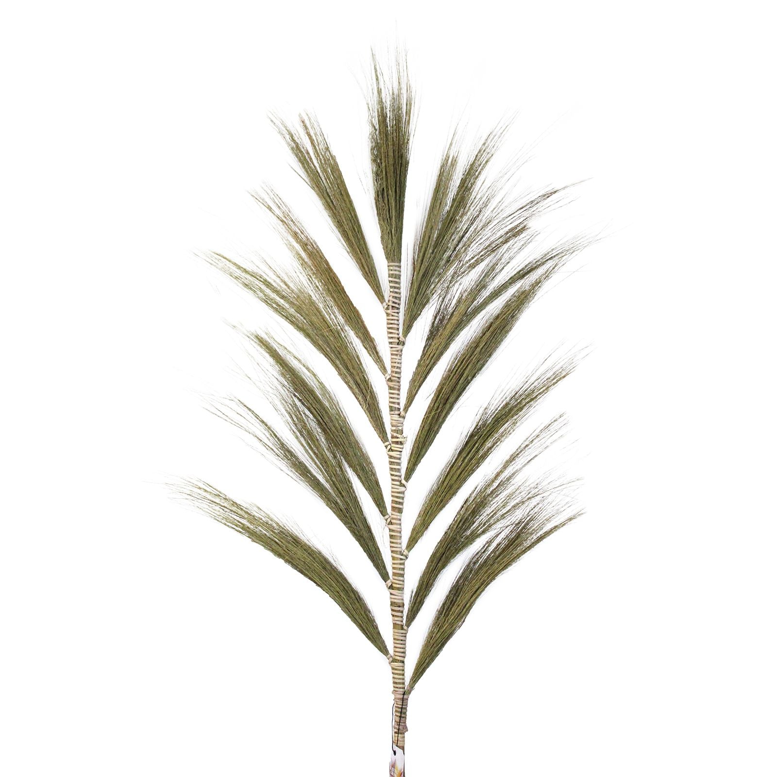 Rayung Grass Natural 1.6m for Stunning Tropical Home Displays