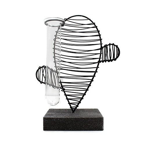 Hydroponic Home Décor with Cactus & Lab Pot Design for Display