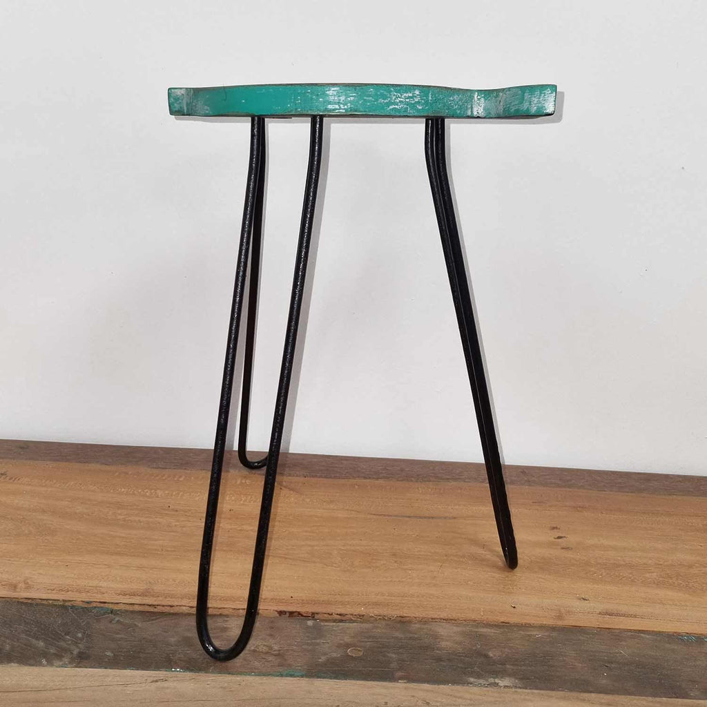 Albasia Wood Fish Stand in Turquoise for Plant Display