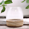 Mini Terrarium on Natural Tung Wood for Creative Displays