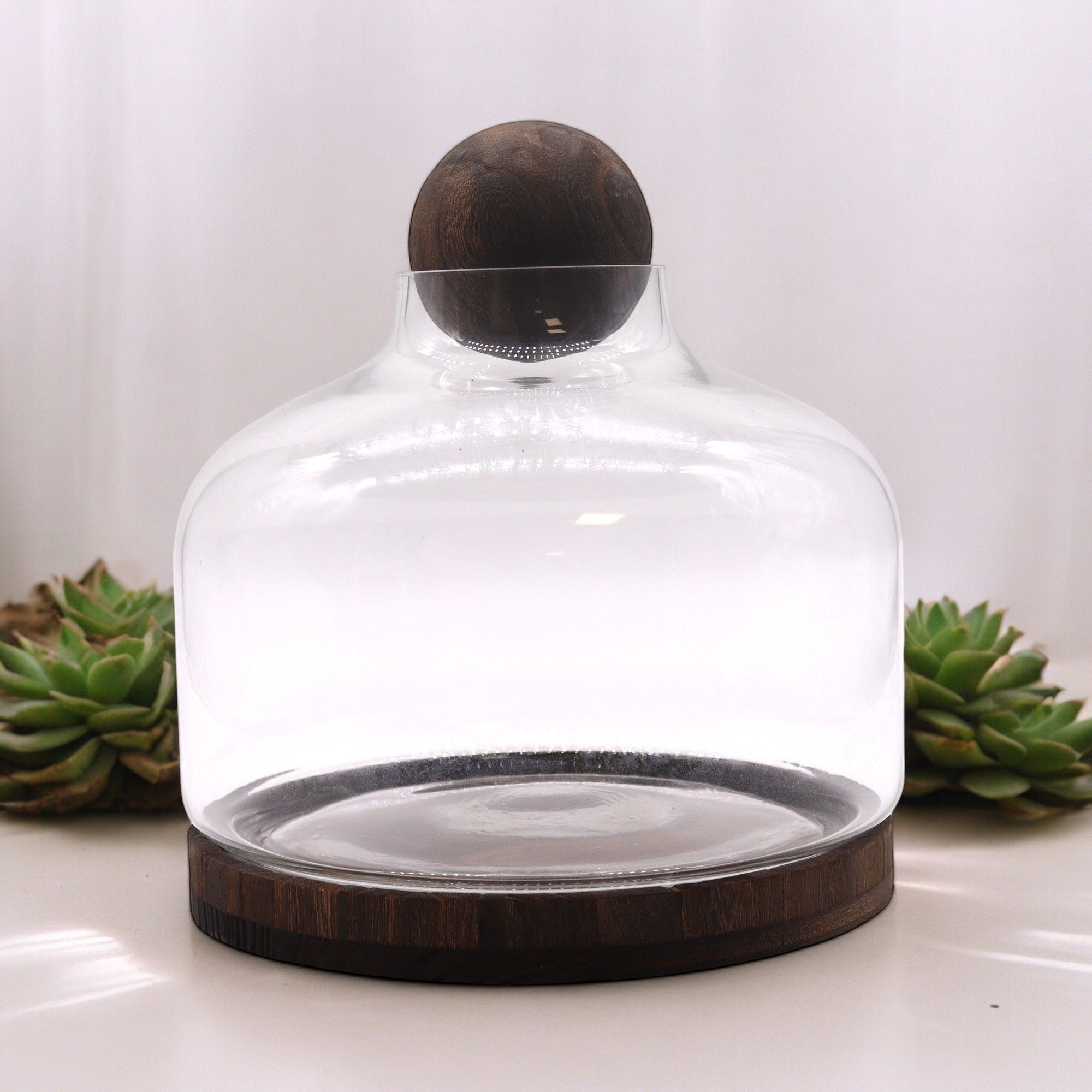 Ex Large Ball Top Terrarium on Dark Tung Wood Base for Display
