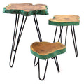 Set of 3 Greenwash Gamal Wooden Plant Stands for Home Decor