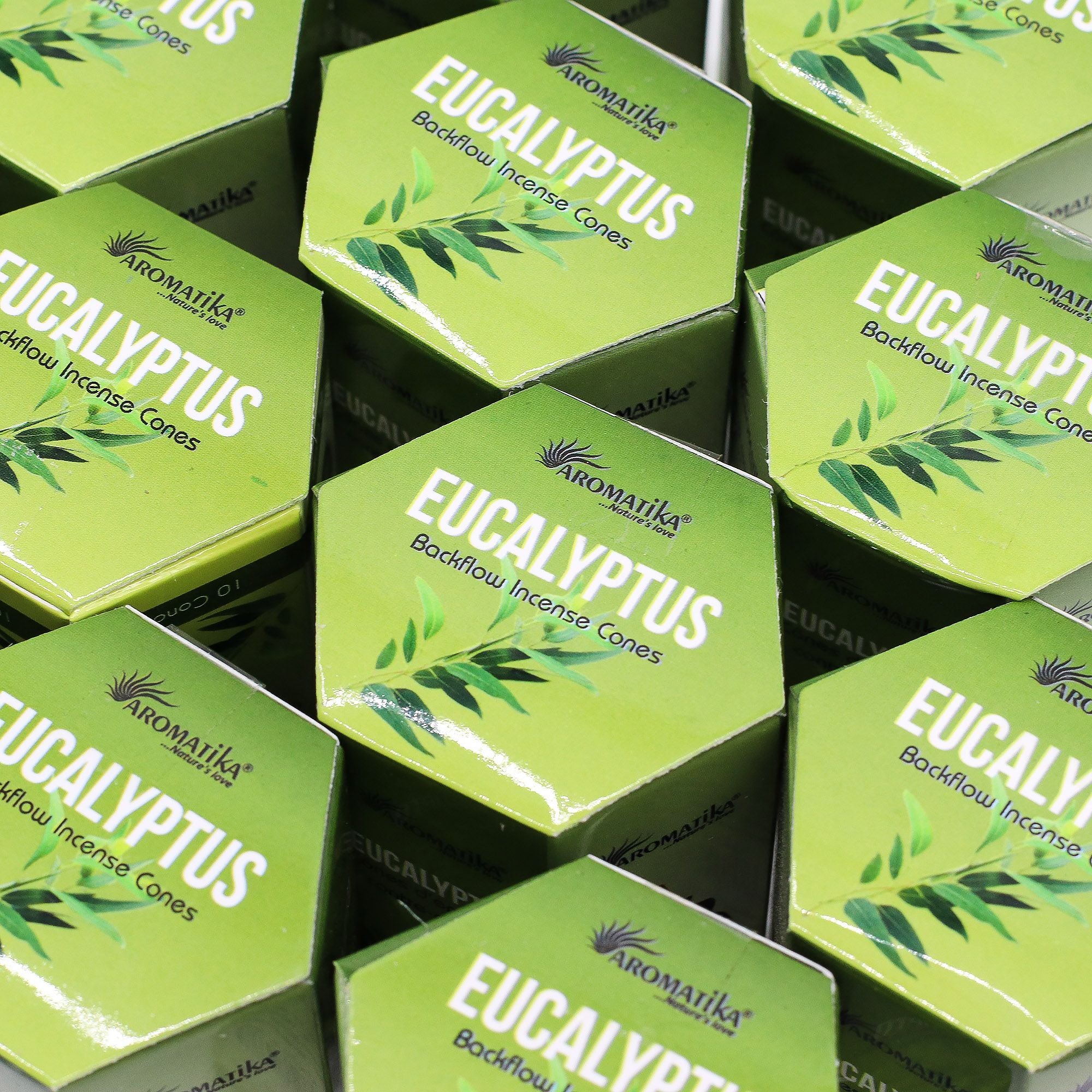 Pack of 10 Eucalyptus Masala Backflow Incense Cones for Relaxation
