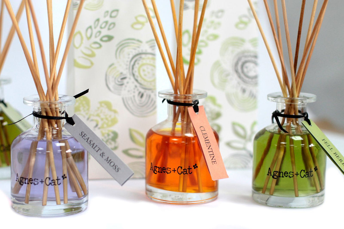 Agnes + Cat 140ml Reed Diffuser - Provence