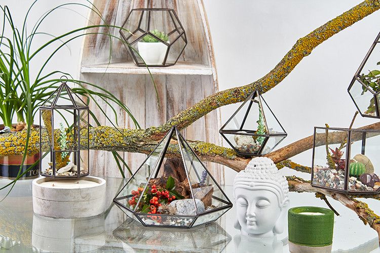 Small Diamond Glass Terrarium for Succulents and Air Plants
