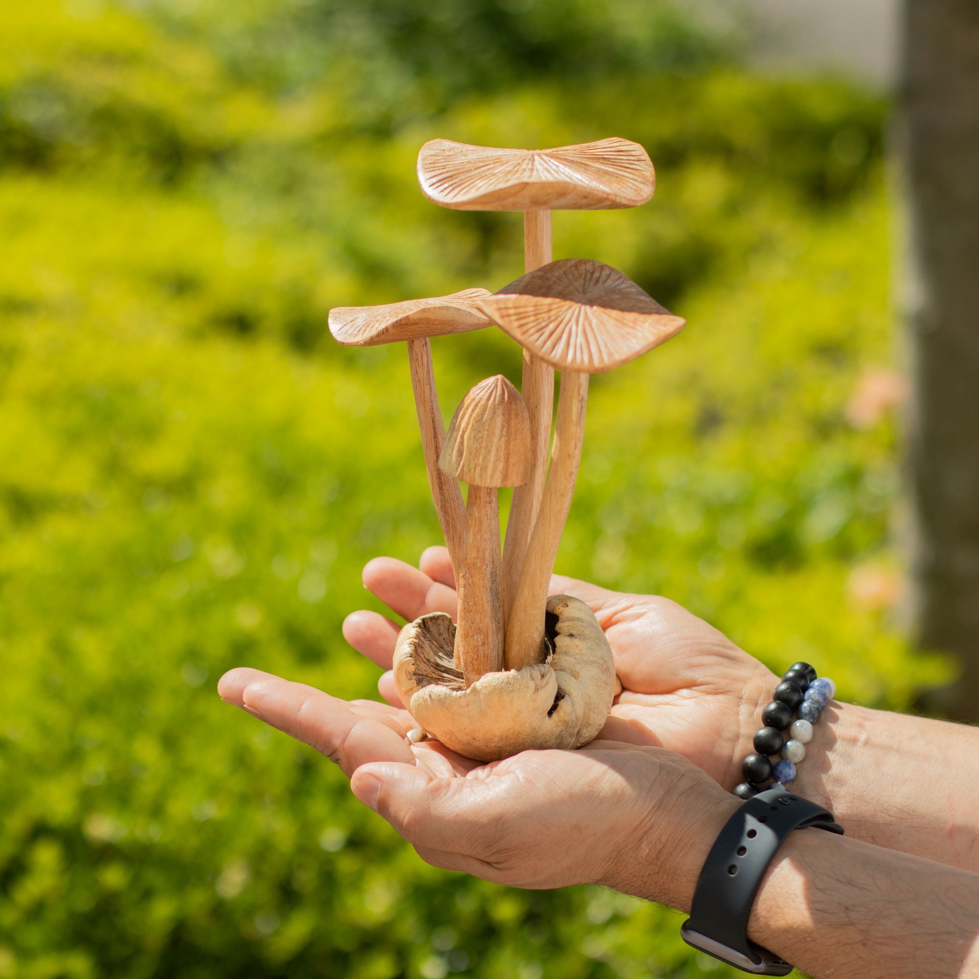Handmade Parasite Wood Art Carving Set of 4 Large Mushrooms
