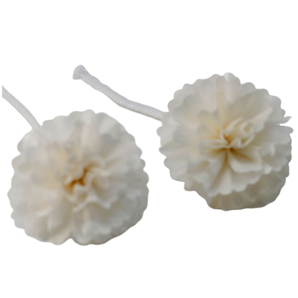 Natural Diffuser Flowers Medium Carnation on String for Aroma