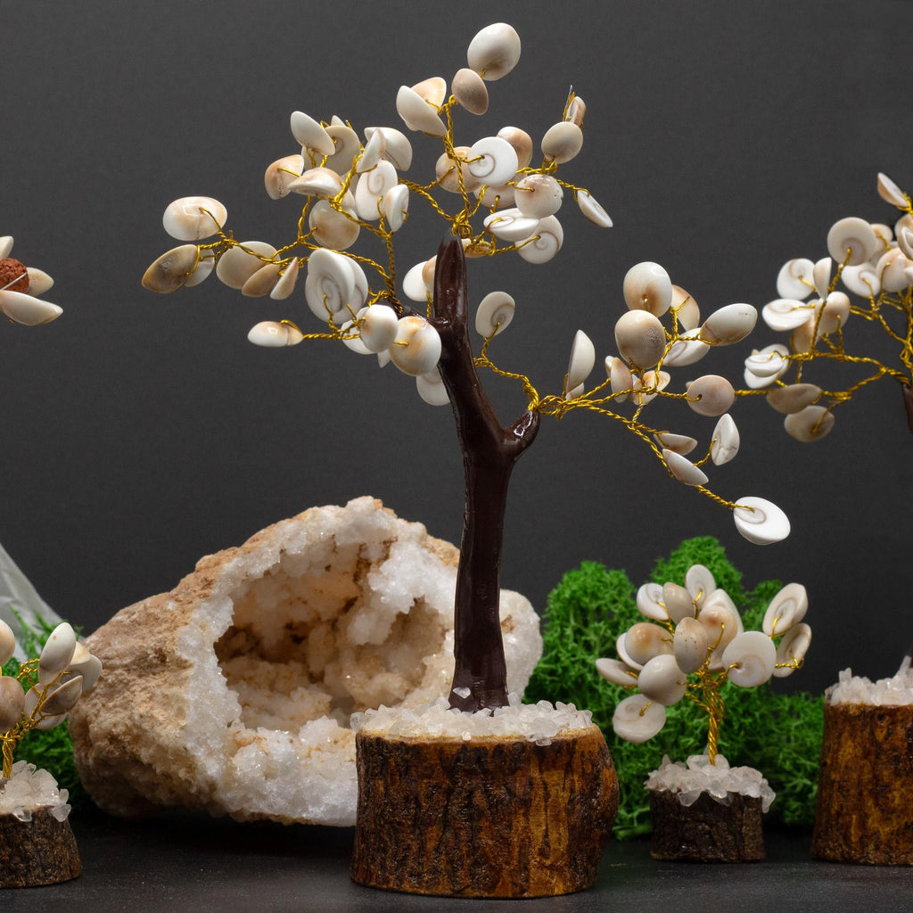 Large Gomati Chakra Circle Stone Tree with 60 Decorative Stones