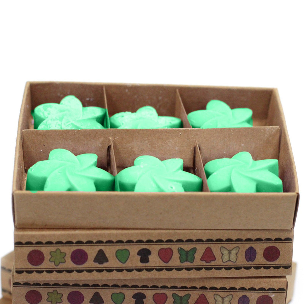 Box of 6 Hidden Garden Wax Melts for Enchanting Home Fragrance