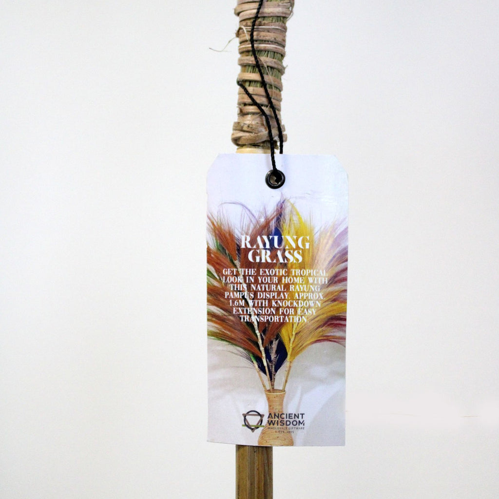 Rayung Grass Coral Unique Decorative Home Accent for Interiors