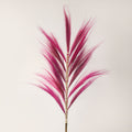 Stunning 1.6m Rayung Grass Pink Display for Tropical Decor