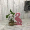 Hydroponic Home Décor with Pink Flamingo Pot for Table Displays