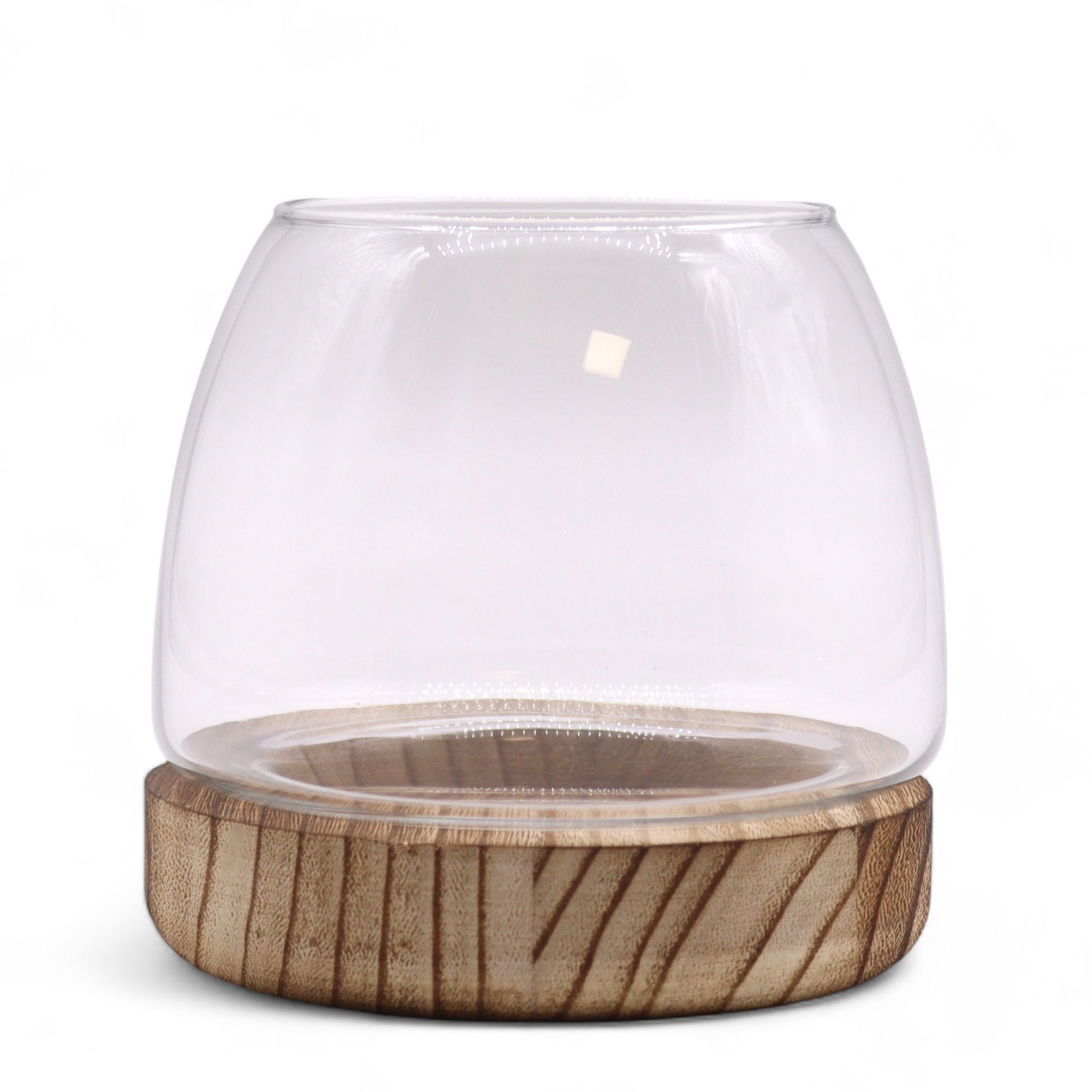 Small Terrarium on Natural Tung Wood Base for Indoor Gardens