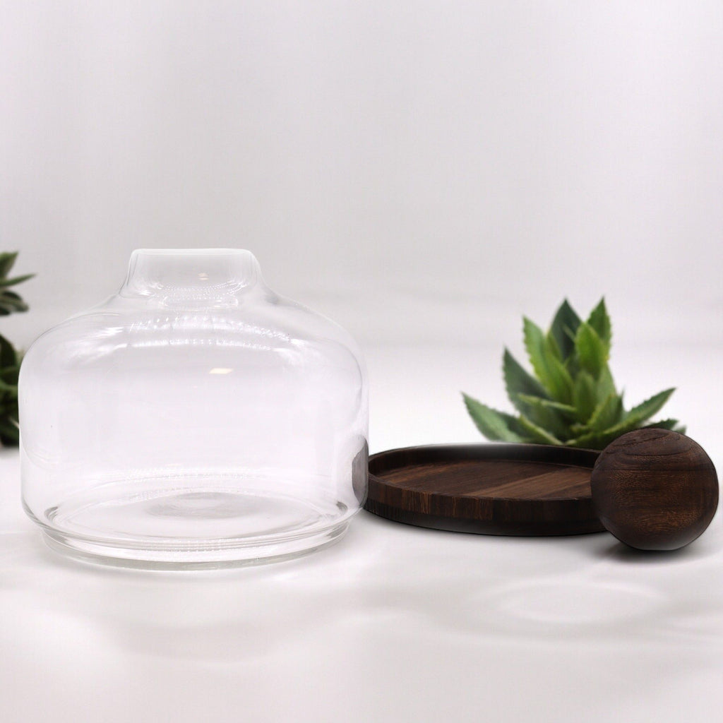 Ex Large Ball Top Terrarium on Dark Tung Wood Base for Display
