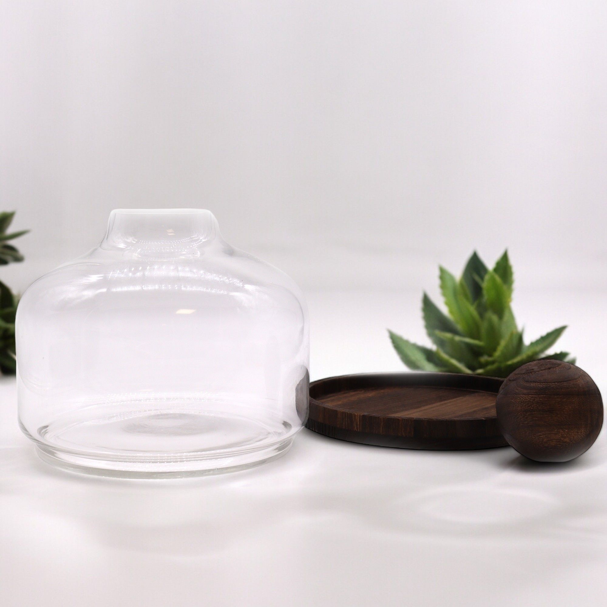 Ex Large Ball Top Terrarium on Dark Tung Wood Base for Display