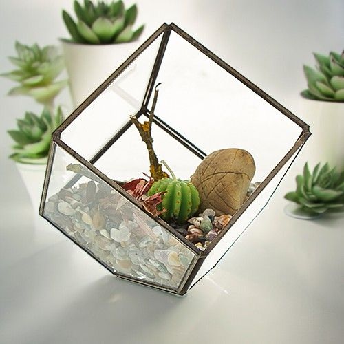 Glass Terrarium Cube on Corner for Stylish Home Decor