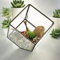 Glass Terrarium Cube on Corner for Stylish Home Decor