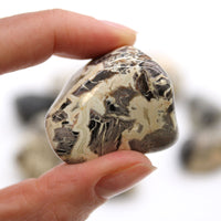 XLarge Tumble Stones - Jasper - Silverleaf