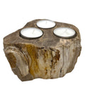 Petrified Wood Candle Holder Triple for Unique Rustic Decor