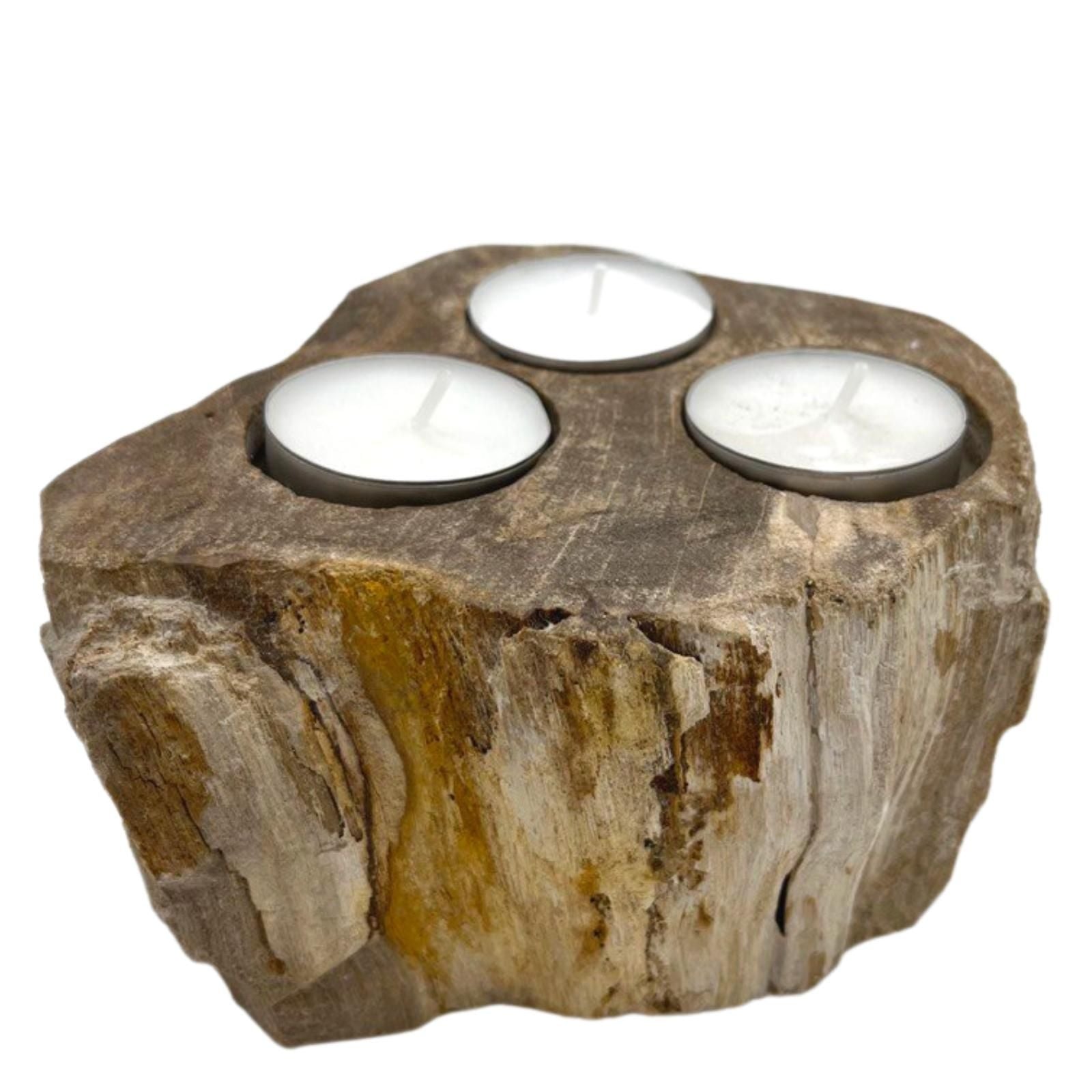 Petrified Wood Candle Holder Triple for Unique Rustic Decor