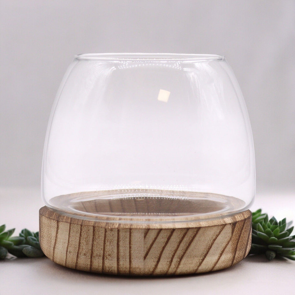 Small Terrarium on Natural Tung Wood Base for Indoor Gardens