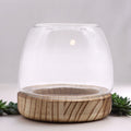 Small Terrarium on Natural Tung Wood Base for Indoor Gardens