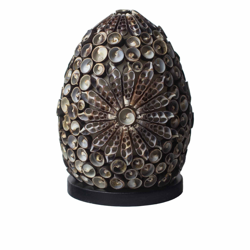 Boho Sea Shell Lamp Chocolate Twist Oval Unique Home Decor 15cm