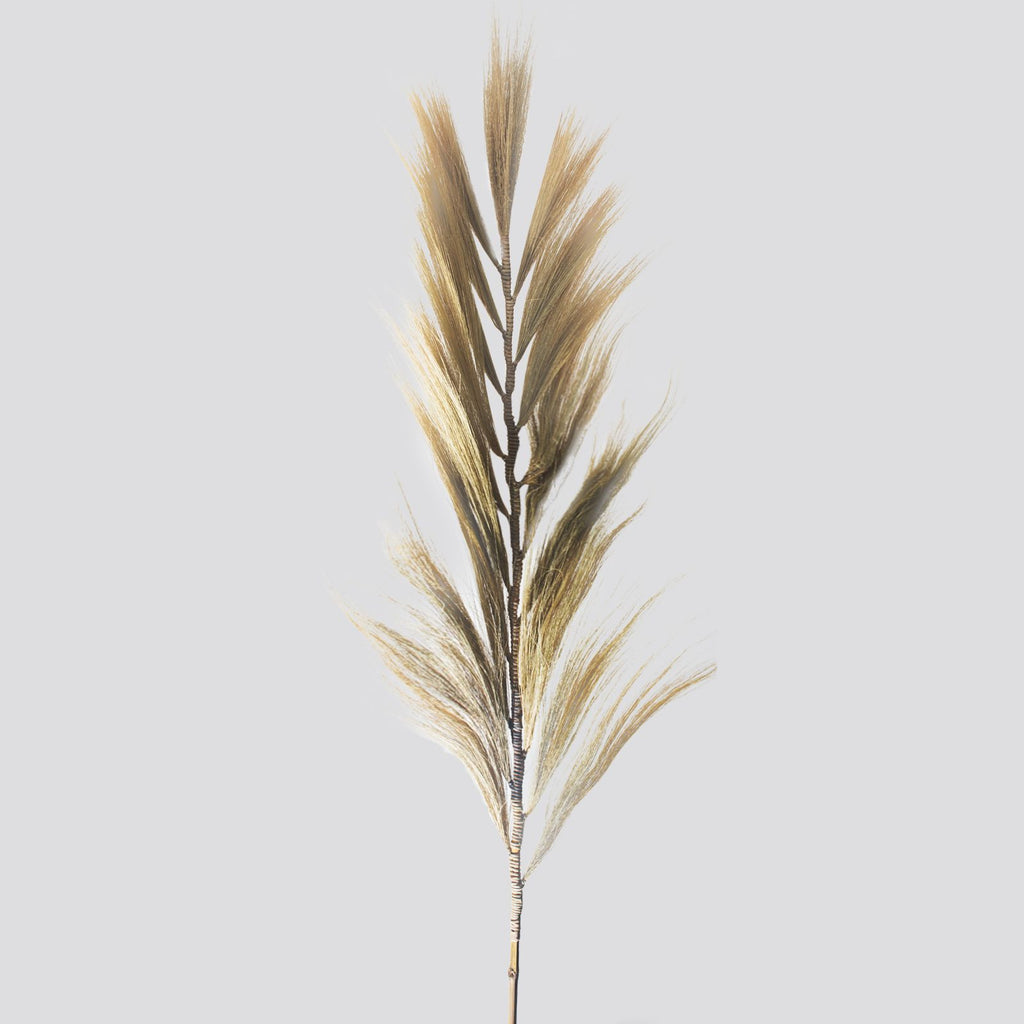 Rayung Grass Blond 2m for Home Decor and Creative Crafts