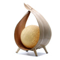 Natural Coconut Lamp with Unique Wrapover Design for Home Decor