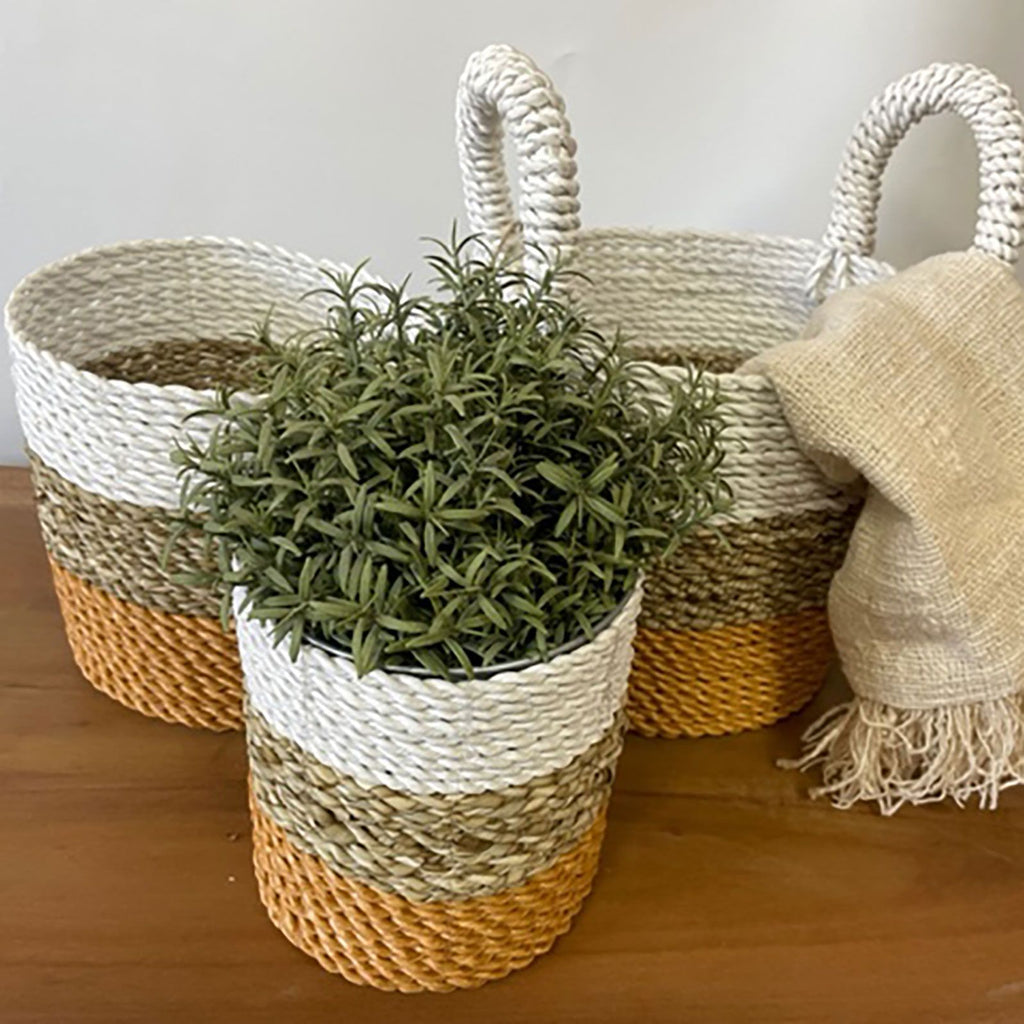 Seagrass Basket Set in Orange Natural and White for Storage