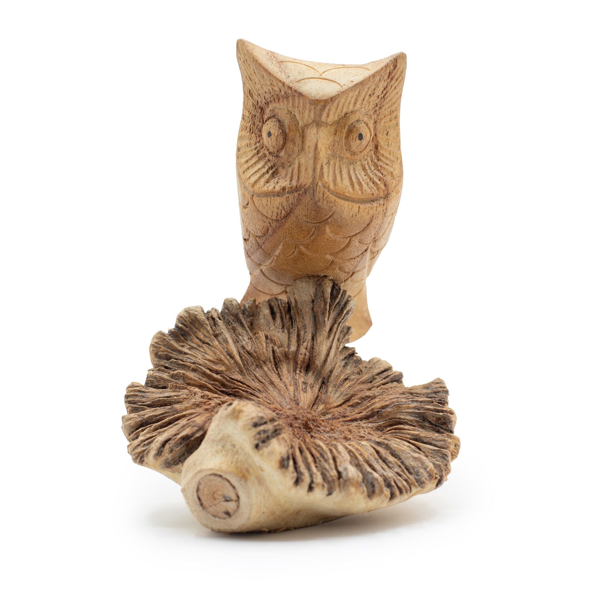 Handmade Parasite Wood Art Carving Unique Owl Watching Decor