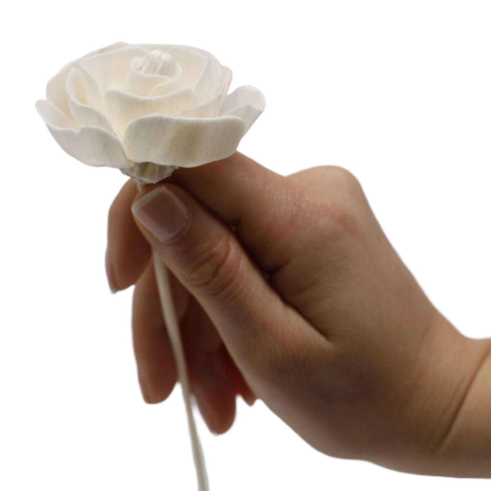 Natural Diffuser Flowers Rose on Reed for Home Fragrance Decor
