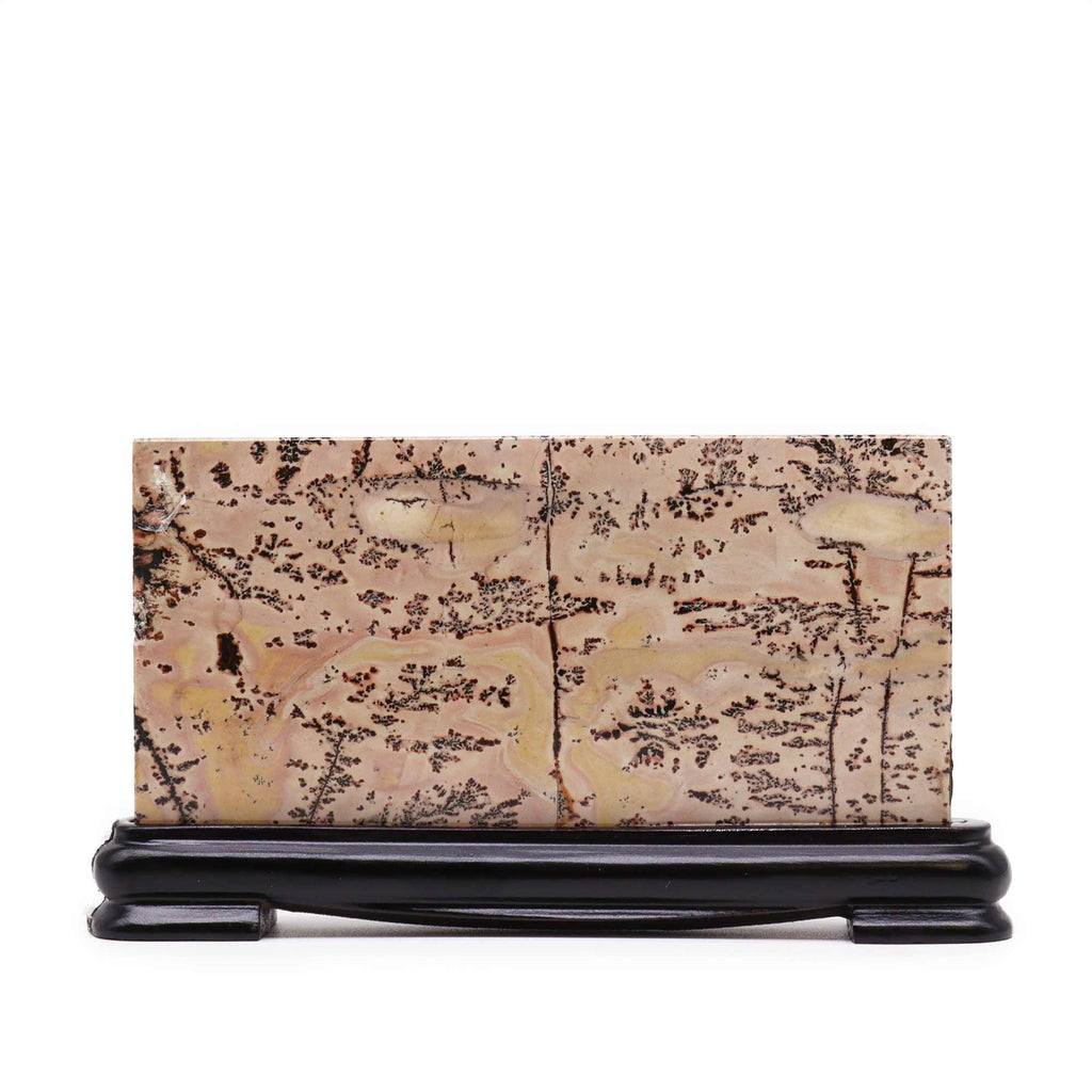 Guohua Picture Stones Landscape Unique Natural Art for Decor
